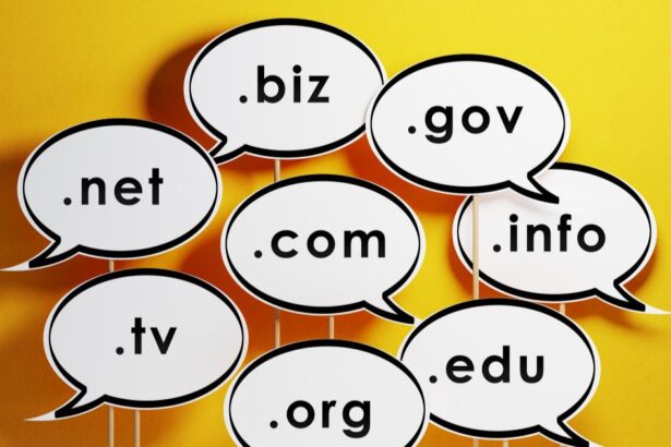 apa itu domain