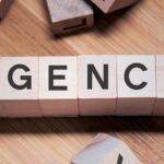 seo agency jakarta