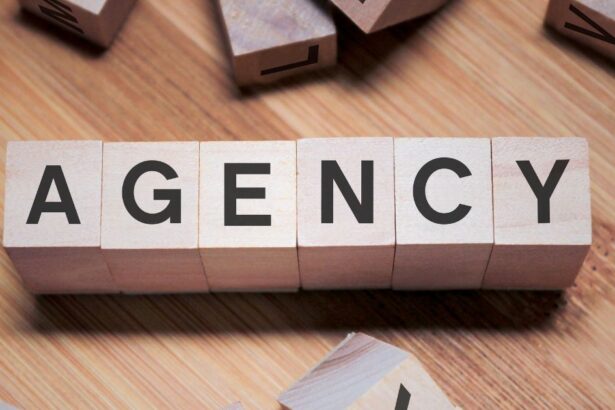 seo agency jakarta