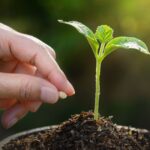seed keyword adalah