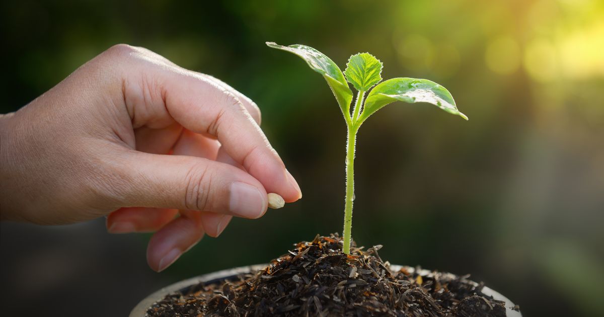 seed keyword adalah