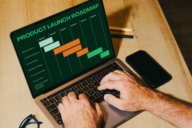 seo project timeline