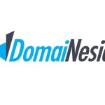 kelebihan dan kekurangan domainesia