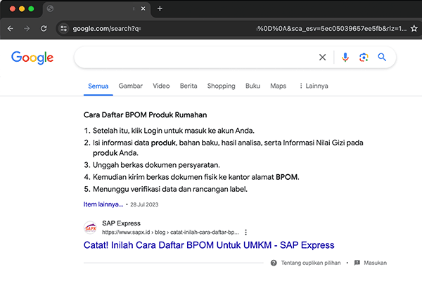 jasa audit seo