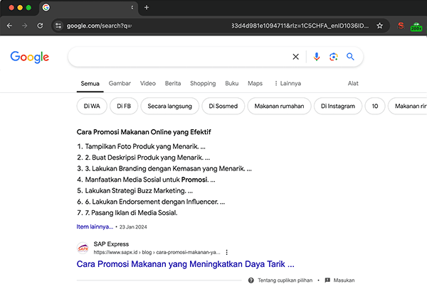jasa audit seo